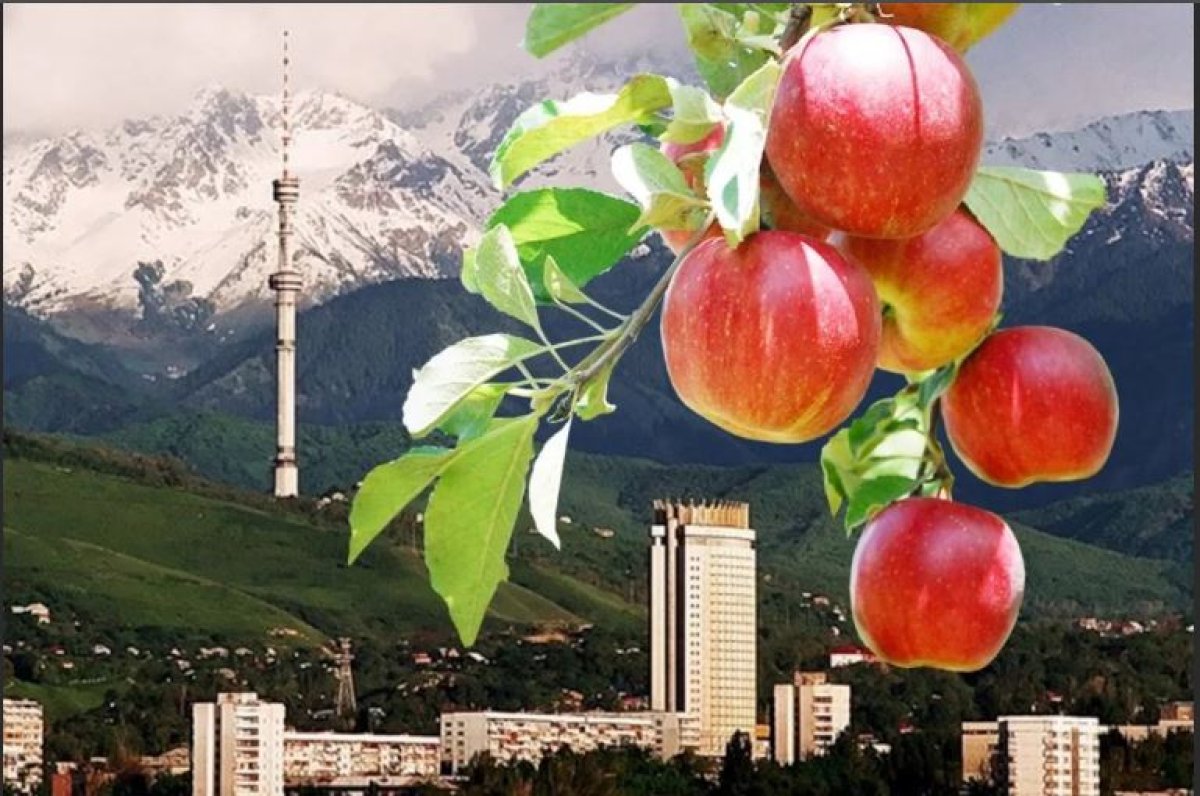 Фото: ашық дереккөз